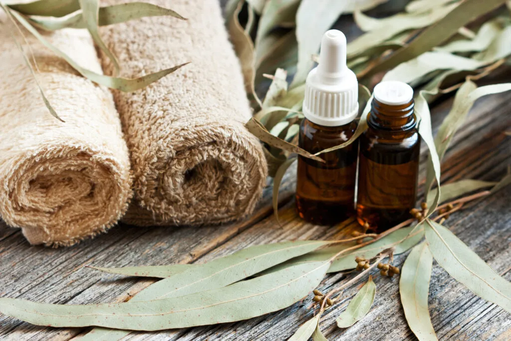 Relax & Rejuvenate: Your Spa Sanctuary​